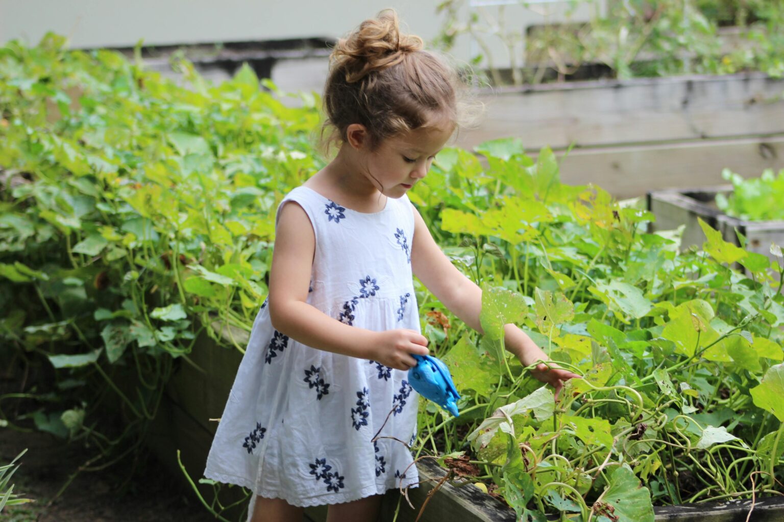 A young girl tending to plants in a summer garden, capturing joy and nature.