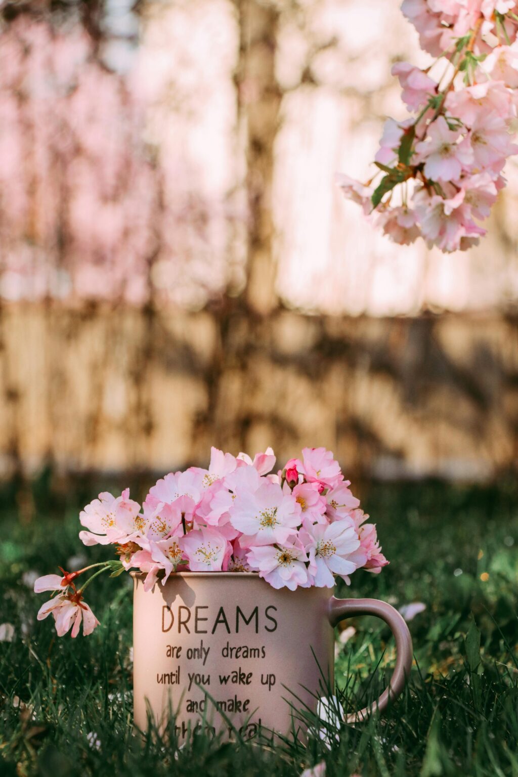 Pink cherry blossoms in a mug in a sunny spring garden, serene and dreamy setting.