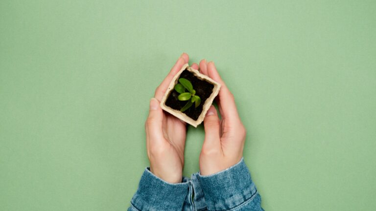 Hands gently cradle a small seedling in a biodegradable pot, symbolizing growth and sustainability.