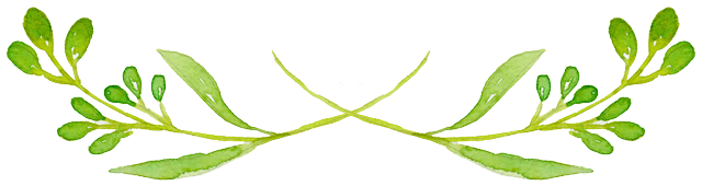 img_1.png